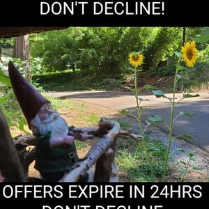 PLEASE DON'T DECLINE OFFERS! THEY EXPIRE IN 24 HOURS NO NEED TO DECLINE!